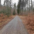 2020_Jexhof-SW_1_310120_25.jpg