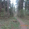 2020 - Forstenrieder Park - 190420 - 40.jpg