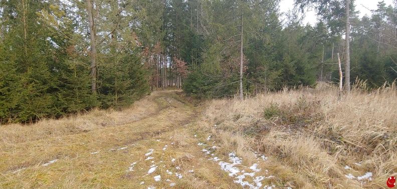 2020_Kreuzlinger_Forst_1_260120_25.jpg