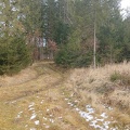 2020 Kreuzlinger Forst 1 260120 25