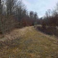 2020 Jexhof-SW 1 310120 43