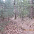 2020 - Forstenrieder Park - 190420 - 23